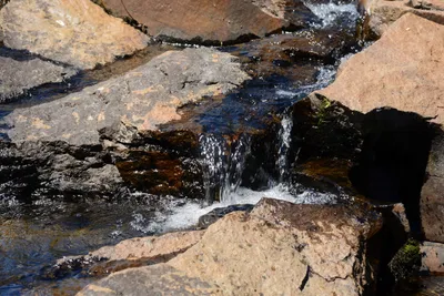 DSC_9941 (Large).JPG